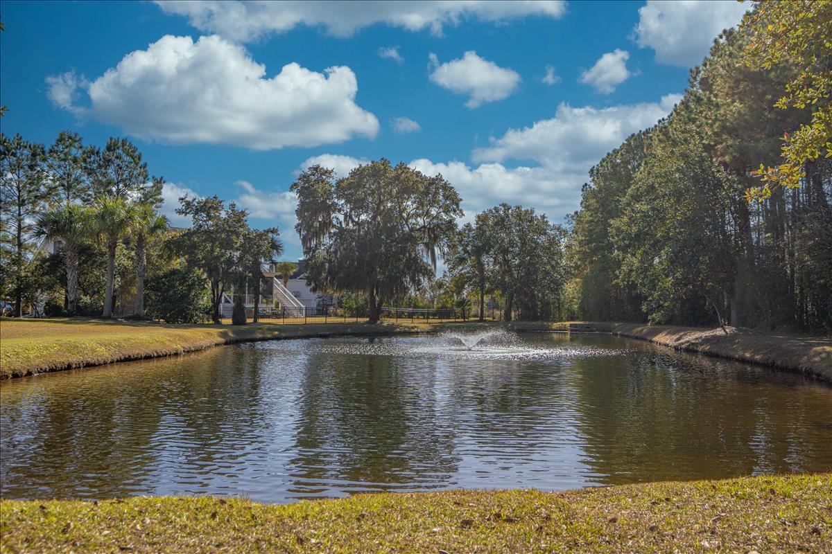 1022 Rivershore Road Charleston, SC 29492 - Photo 54 of 54 DSC04996-HDR