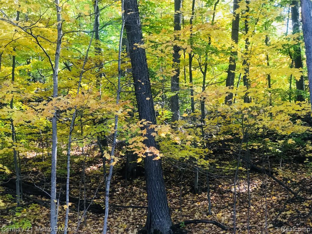 Parcel E Brocker Road Goodrich, MI 48438 - Photo 2 of 4 Gallery Image 2