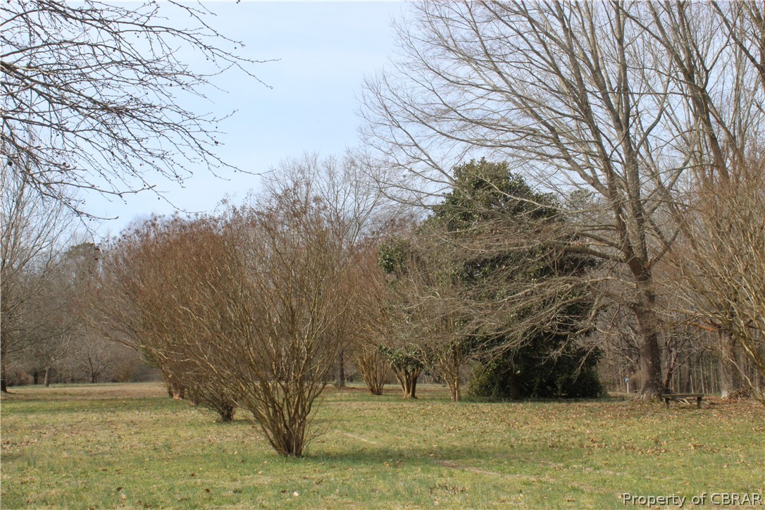 0 Lees Neck Farm Road Saluda, VA 23149 - Photo 3 of 7