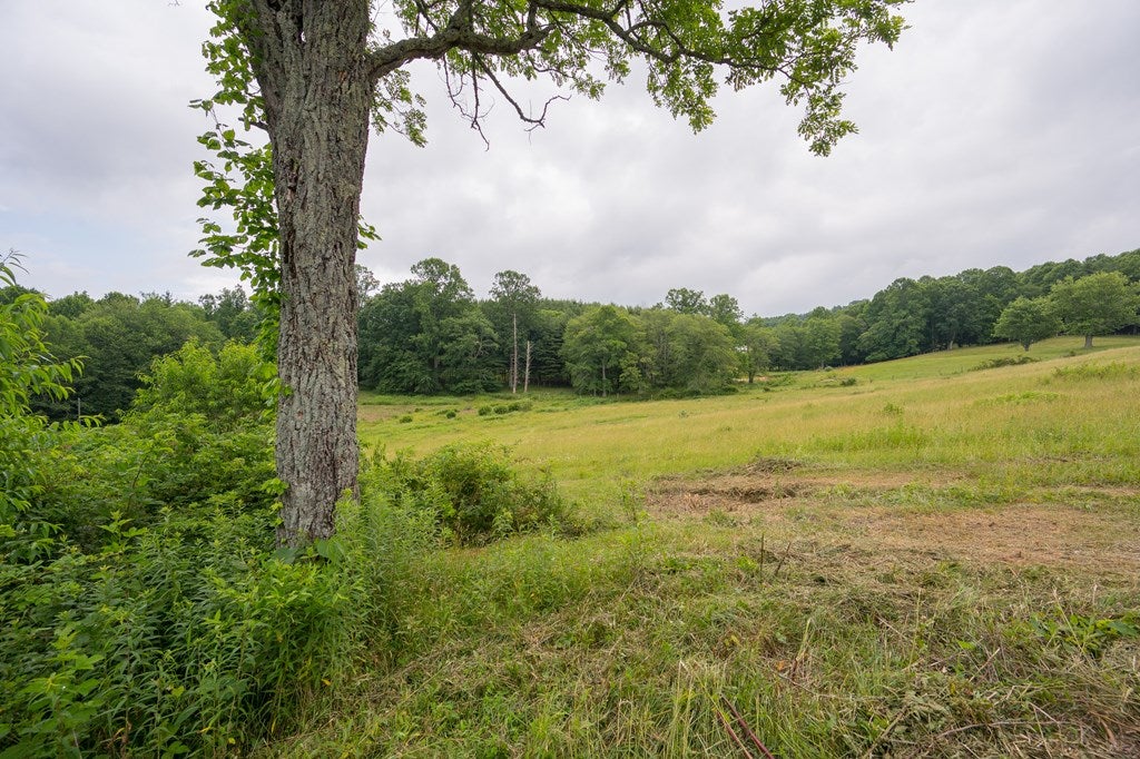 Tbd Keno Road Laurel Fork, VA 24352 - Photo 35 of 72 Gallery Image 35