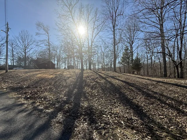 a view of large yard with trees