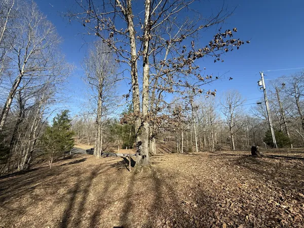 a view of a yard with a tree