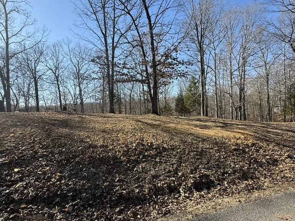 a view of large space with green space