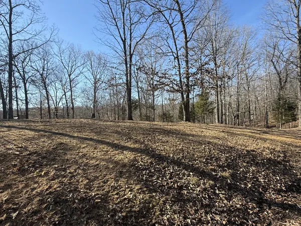 a view of outdoor space with trees