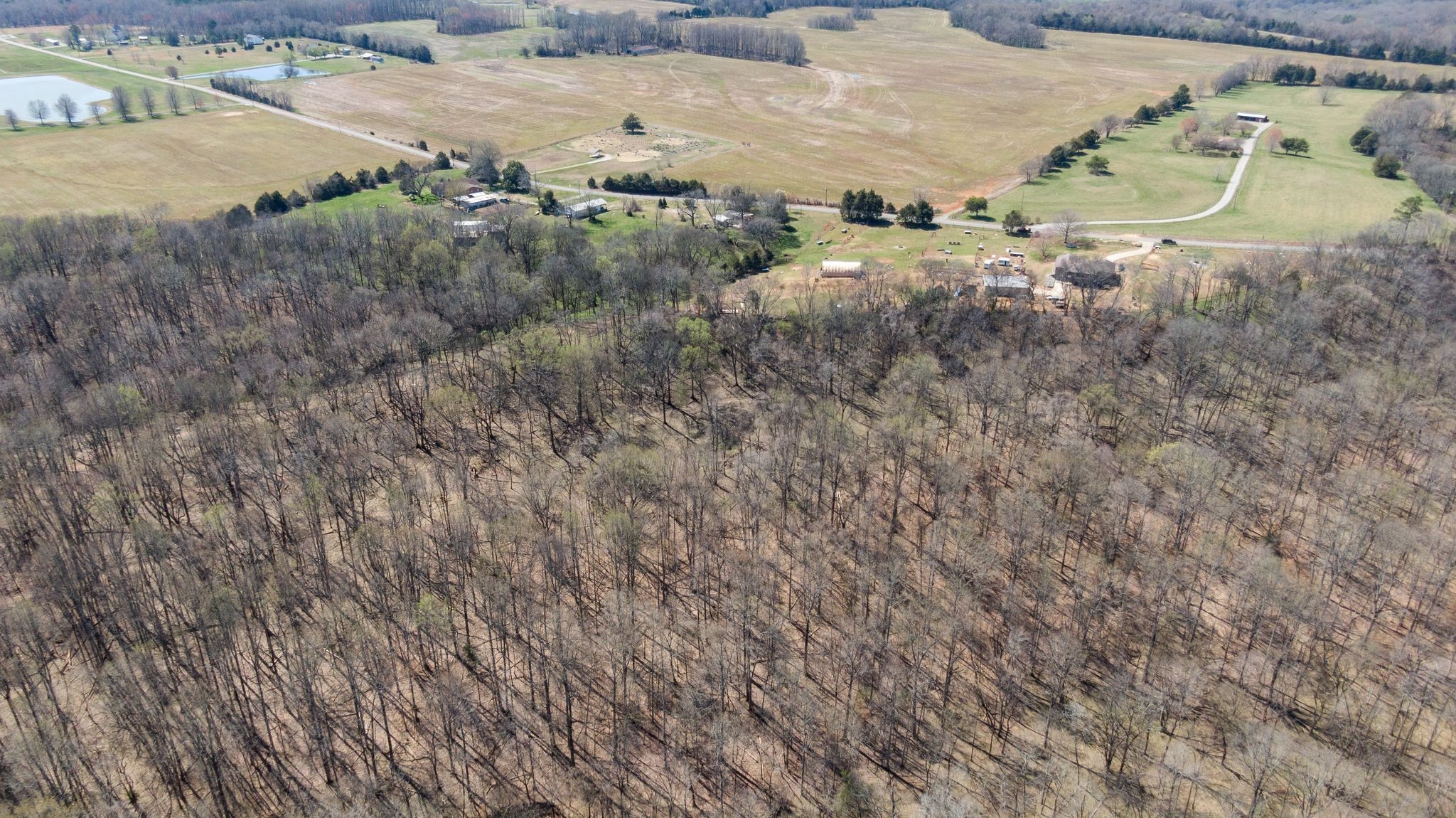 239 Henry Bayless Road Ardmore, TN 38449 - Photo 50 of 51