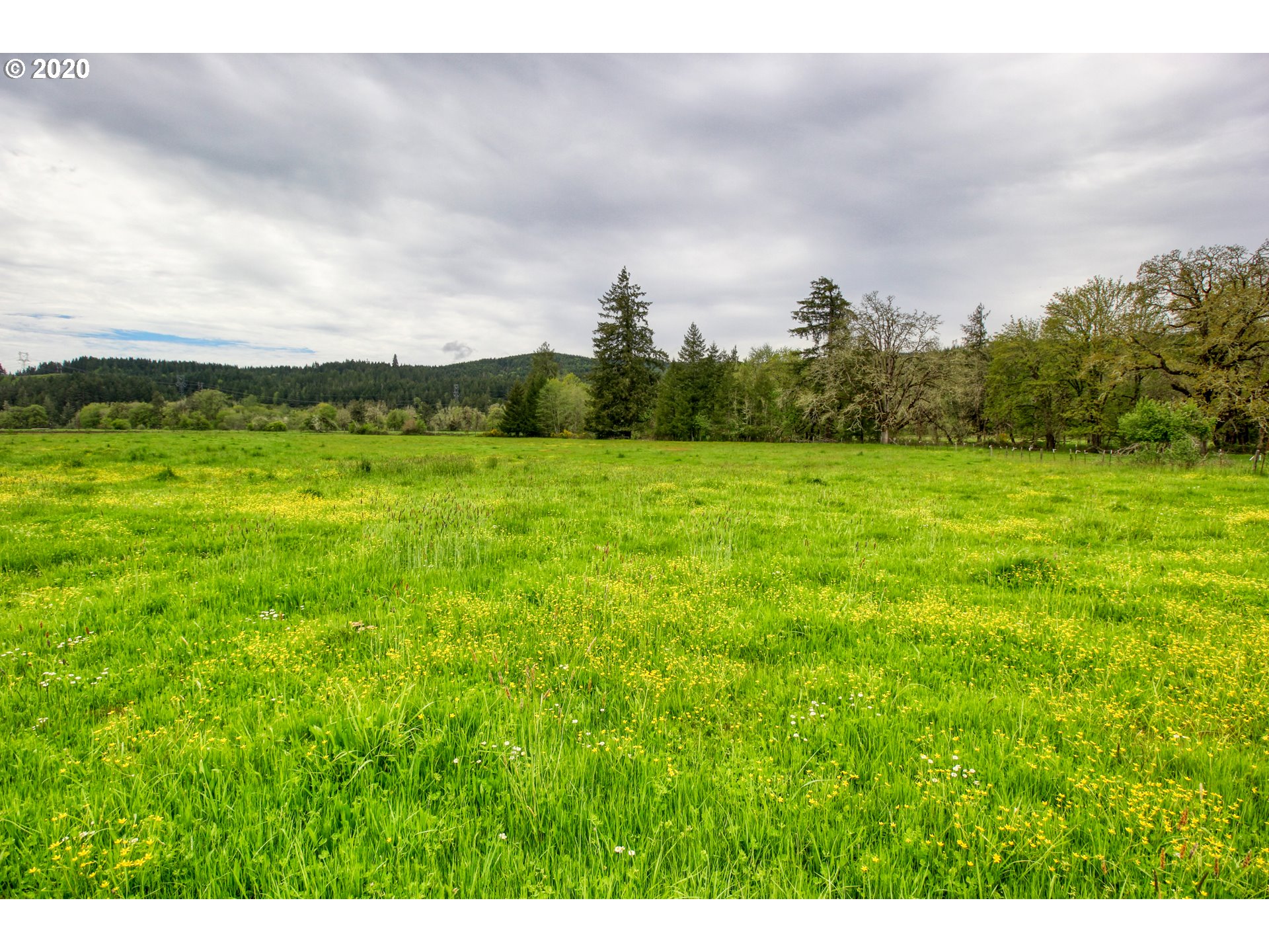 73578 London Road Cottage Grove, OR 97424 - Photo 15 of 26 Gallery Image 15