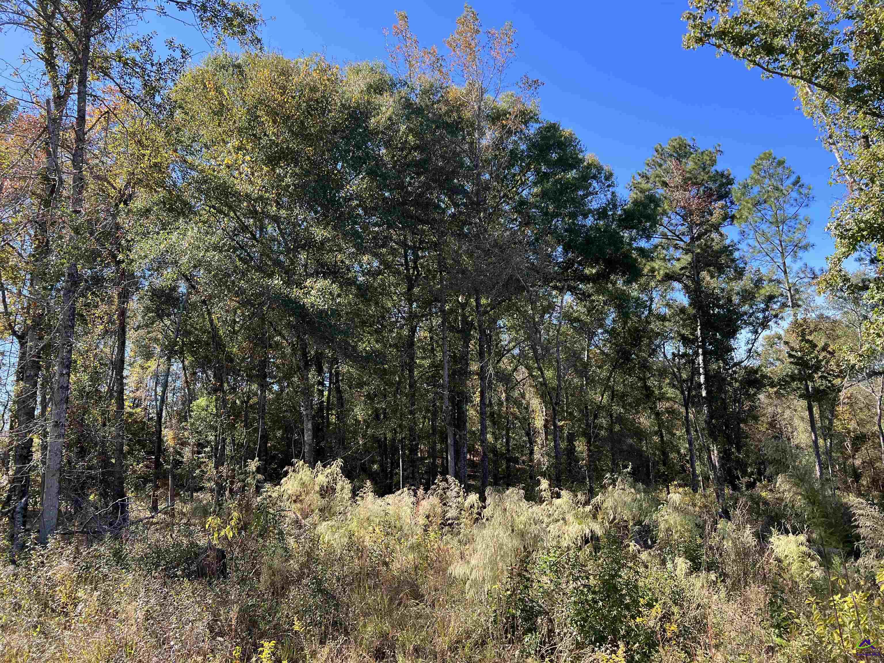 Roddy Road Eastman, GA 31023 - Photo 12 of 14
