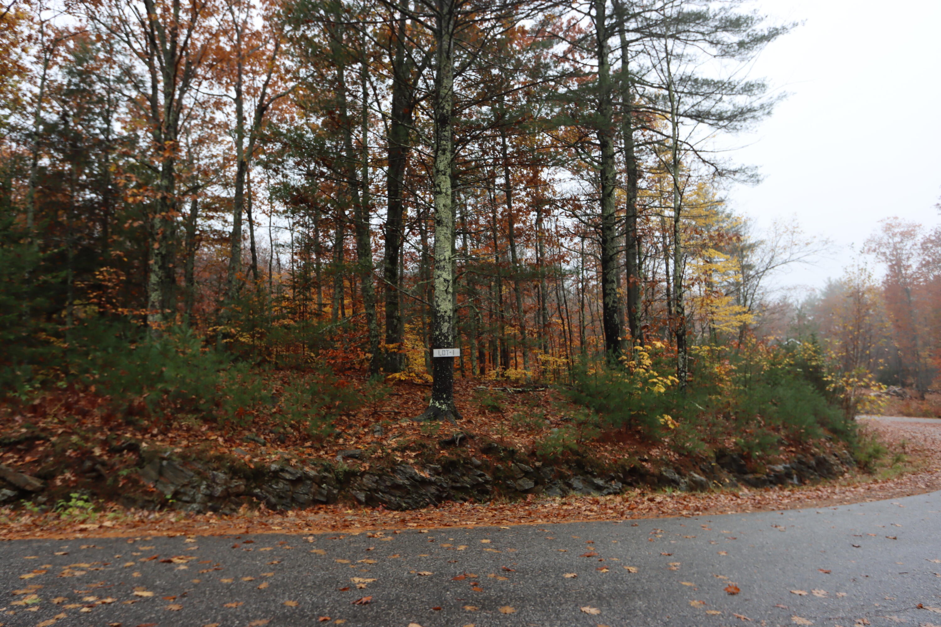 Lot 1 Autumn Ridge Road Sabattus, ME 04280 - Photo 5 of 12 IMG_9152