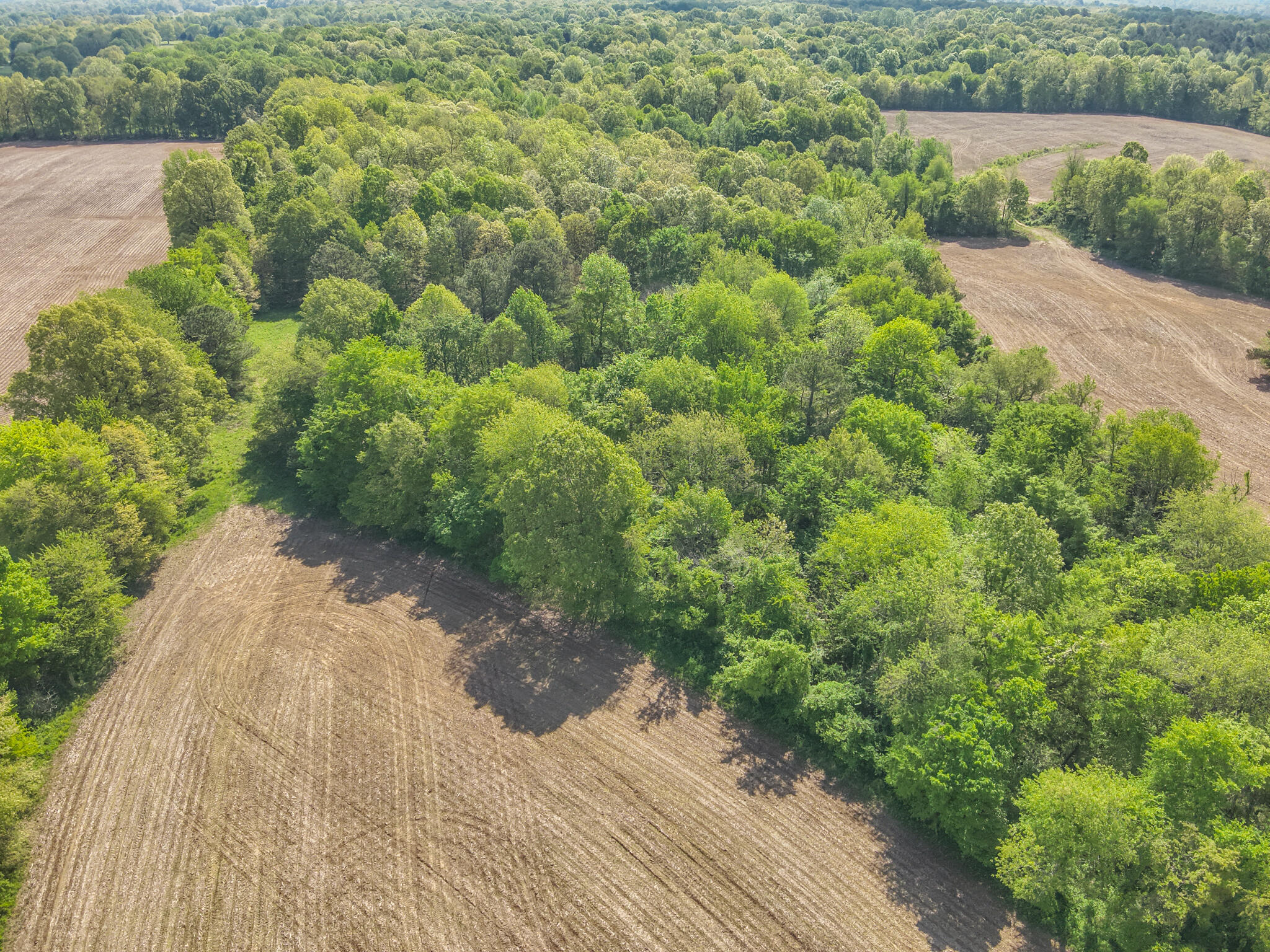 999 Housman Road Boaz, KY 42027 - Photo 8 of 12 Aerial
