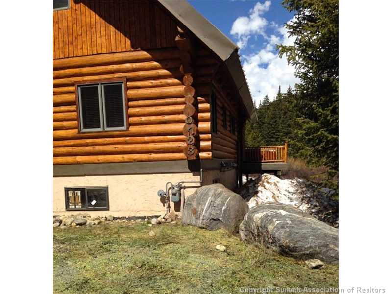 723 Linge Road Breckenridge, CO 80424 - Photo 2 of 4 Exterior Front.
