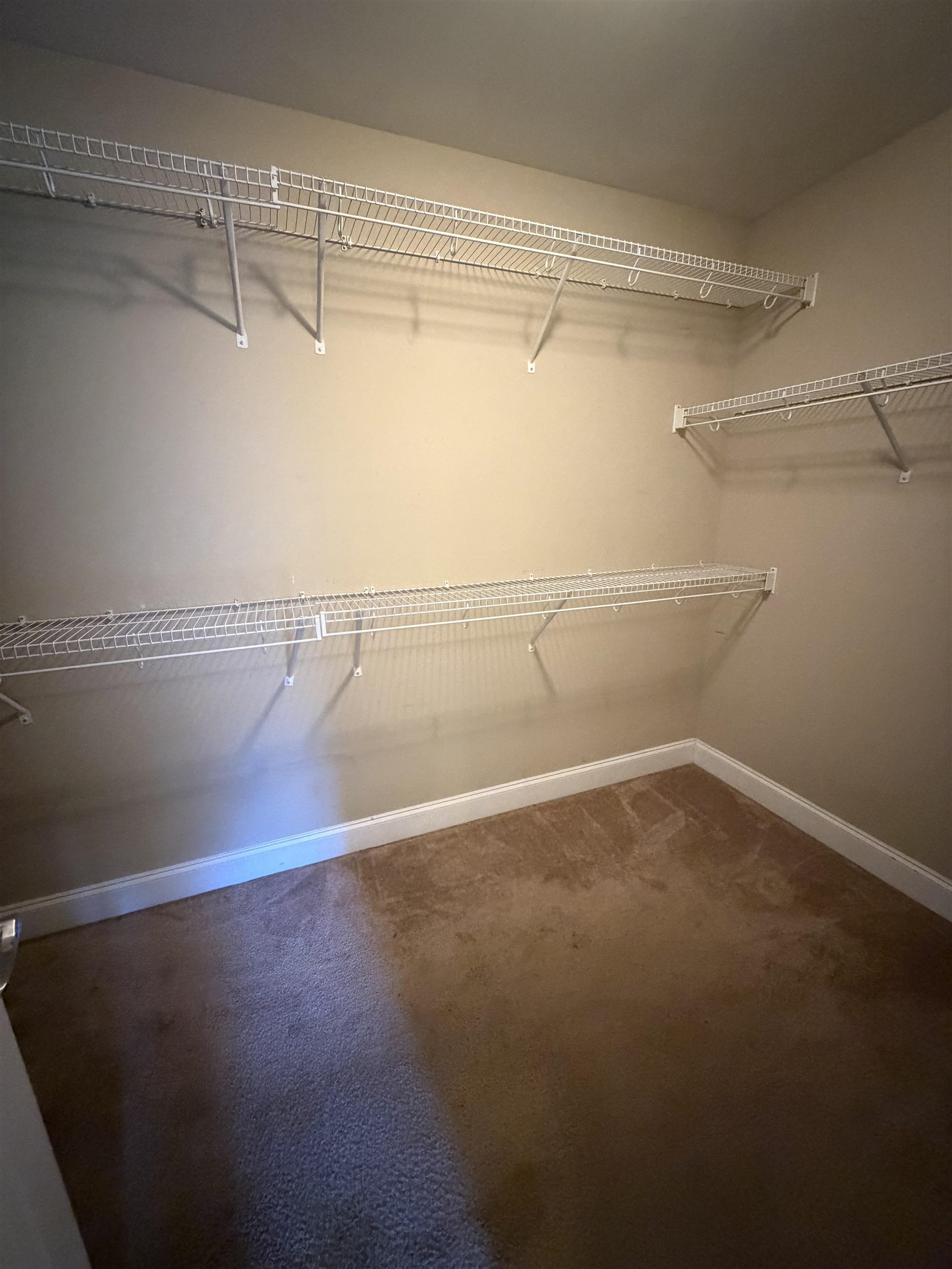 619 Uniola Drive Myrtle Beach, SC 29579 - Photo 11 of 17