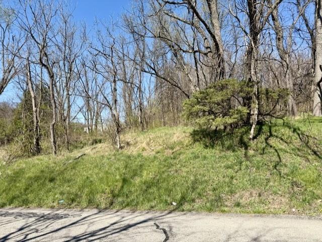 329 McKee Road North Versailles, PA 15137 - Photo 2 of 3 a backyard of a house with lots of green space