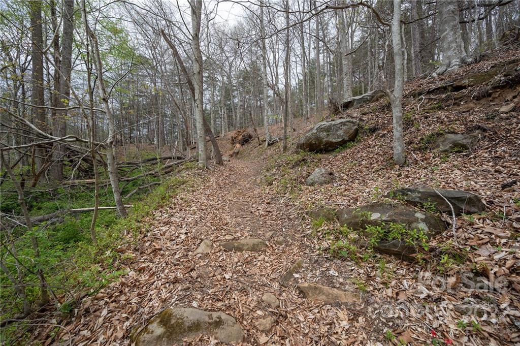 540 Old Bee Tree Road Swannanoa, NC 28778 - Photo 11 of 25 Gallery Image 11