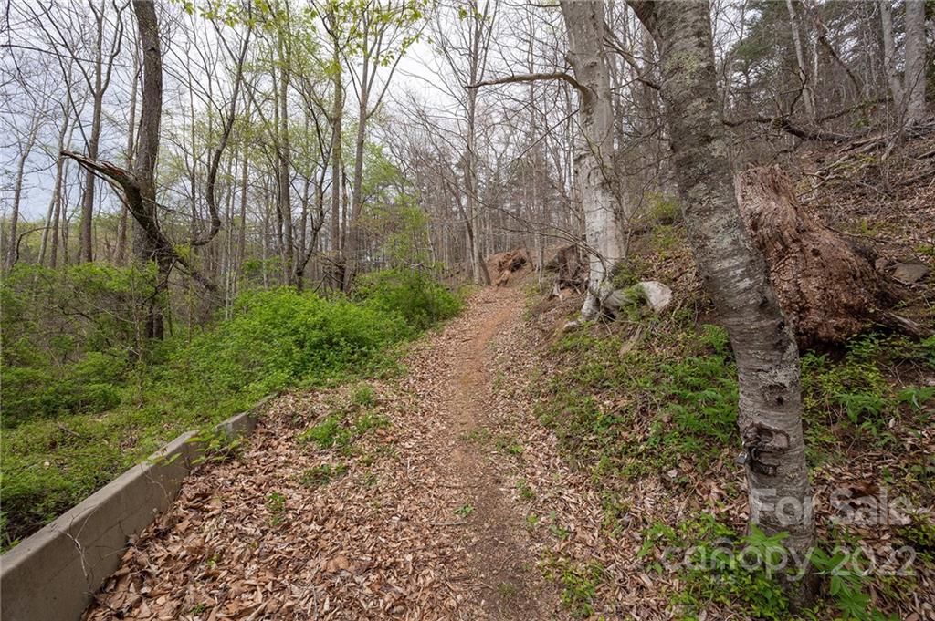 540 Old Bee Tree Road Swannanoa, NC 28778 - Photo 12 of 25 Gallery Image 12