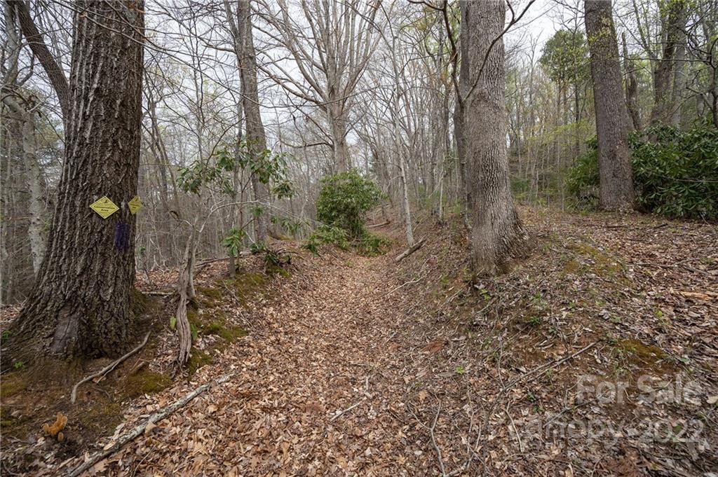 540 Old Bee Tree Road Swannanoa, NC 28778 - Photo 13 of 25 Gallery Image 13
