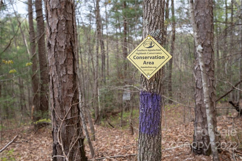 540 Old Bee Tree Road Swannanoa, NC 28778 - Photo 14 of 25 Gallery Image 14