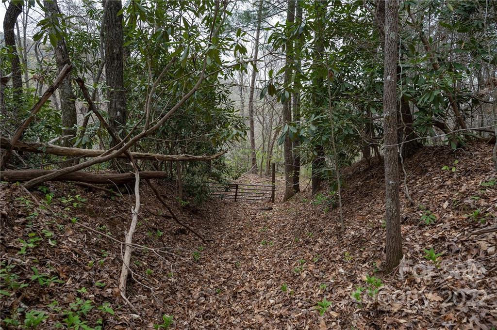 540 Old Bee Tree Road Swannanoa, NC 28778 - Photo 15 of 25 Gallery Image 15