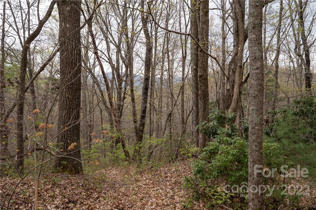 540 Old Bee Tree Road Swannanoa, NC 28778 - Photo 16 of 25 Gallery Image 16