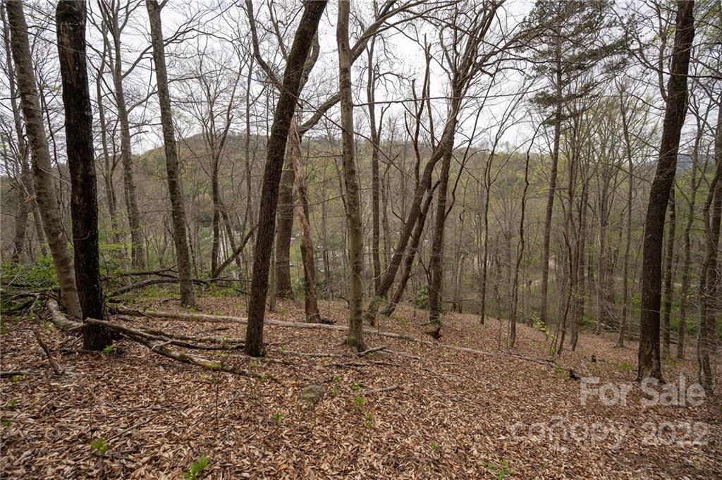 540 Old Bee Tree Road Swannanoa, NC 28778 - Photo 17 of 25 Gallery Image 17