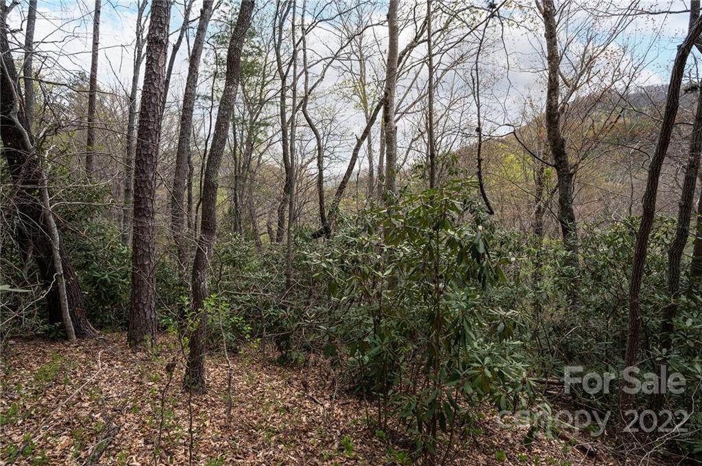 540 Old Bee Tree Road Swannanoa, NC 28778 - Photo 18 of 25 Gallery Image 18