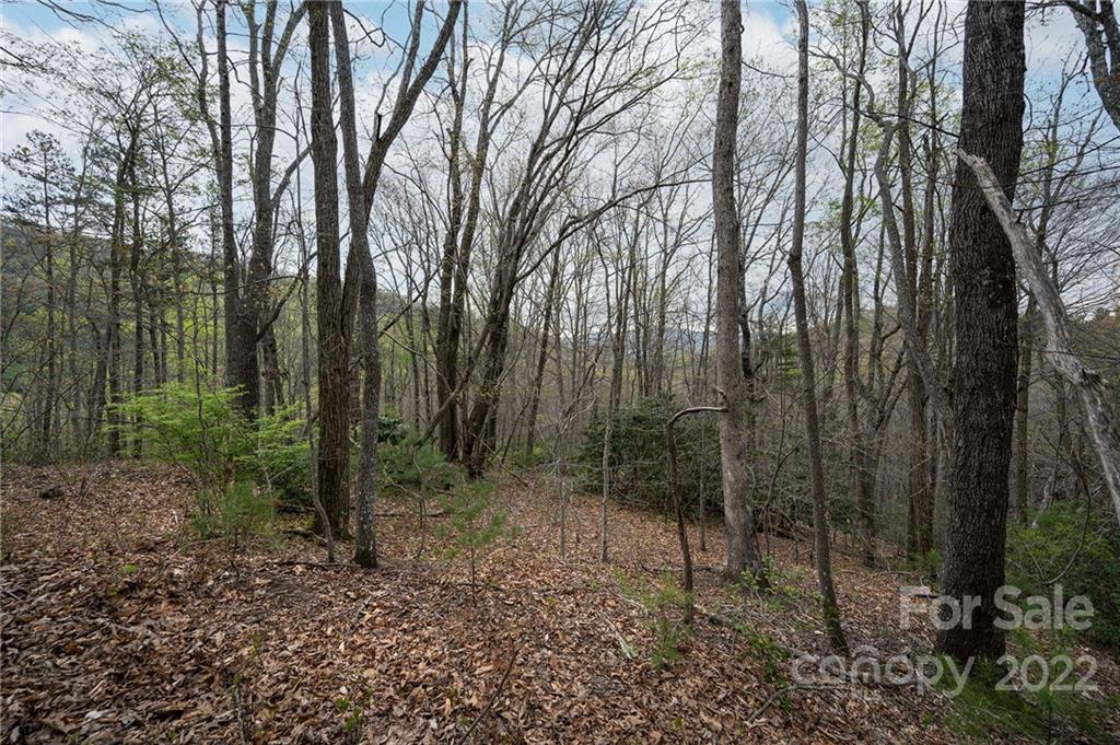 540 Old Bee Tree Road Swannanoa, NC 28778 - Photo 19 of 25 Gallery Image 19