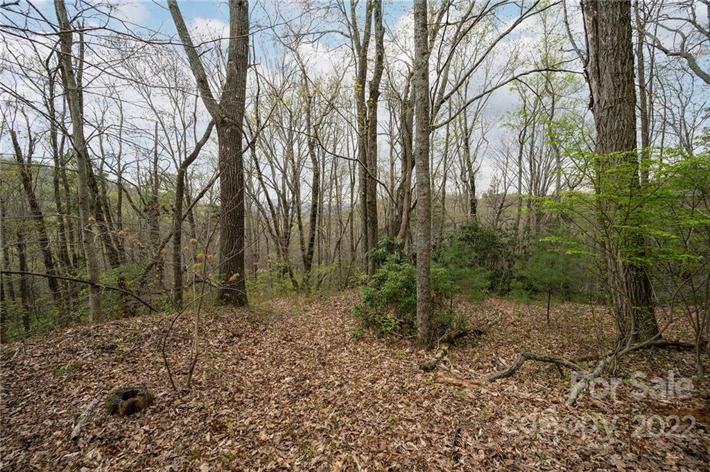 540 Old Bee Tree Road Swannanoa, NC 28778 - Photo 20 of 25 Gallery Image 20