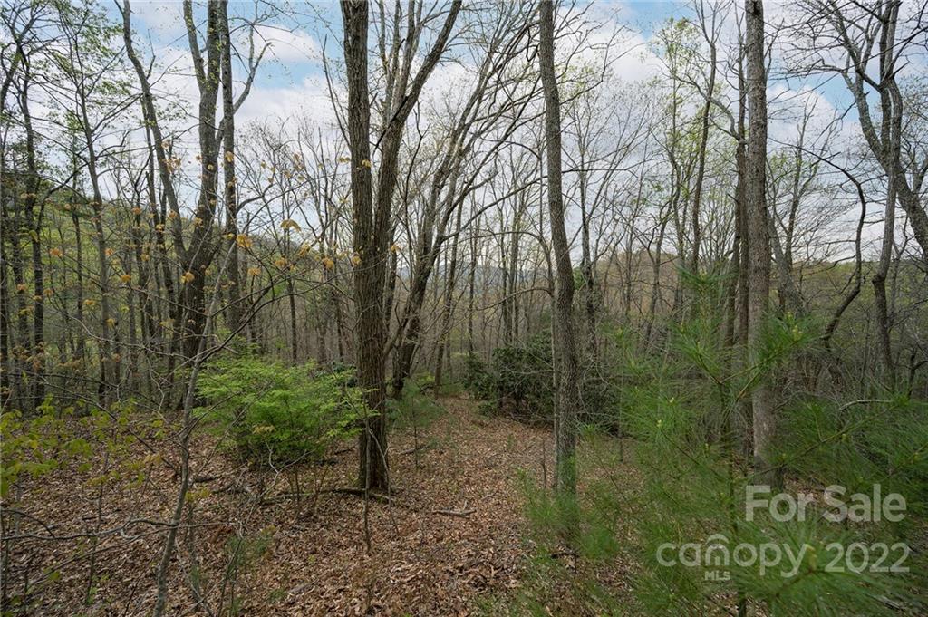 540 Old Bee Tree Road Swannanoa, NC 28778 - Photo 22 of 25 Gallery Image 22