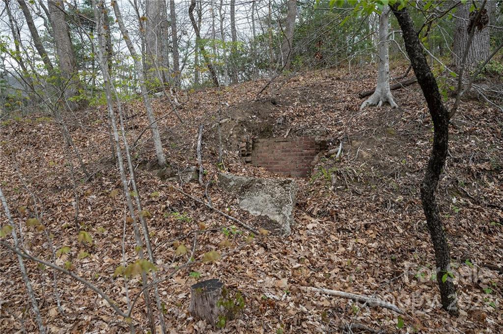 540 Old Bee Tree Road Swannanoa, NC 28778 - Photo 23 of 25 Gallery Image 23