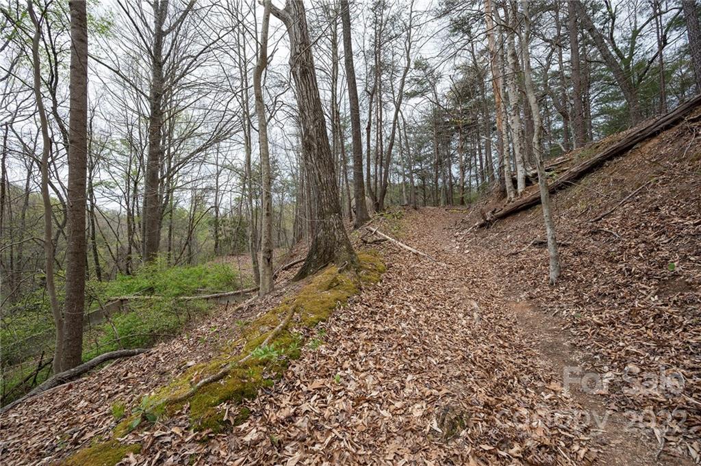 540 Old Bee Tree Road Swannanoa, NC 28778 - Photo 24 of 25 Gallery Image 24