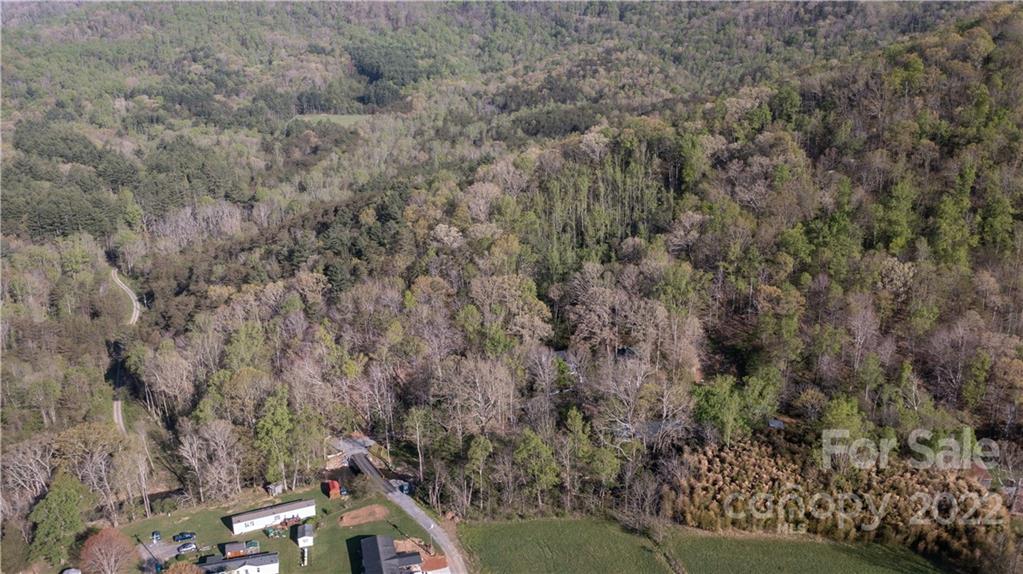 540 Old Bee Tree Road Swannanoa, NC 28778 - Photo 25 of 25 Gallery Image 25