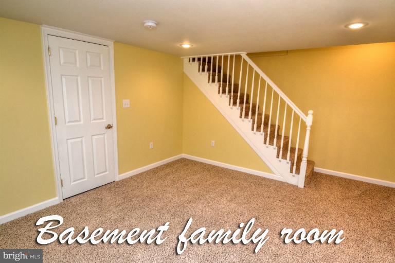 1035 Witherspoon Road Baltimore, MD 21212 - Photo 26 of 30 Basement