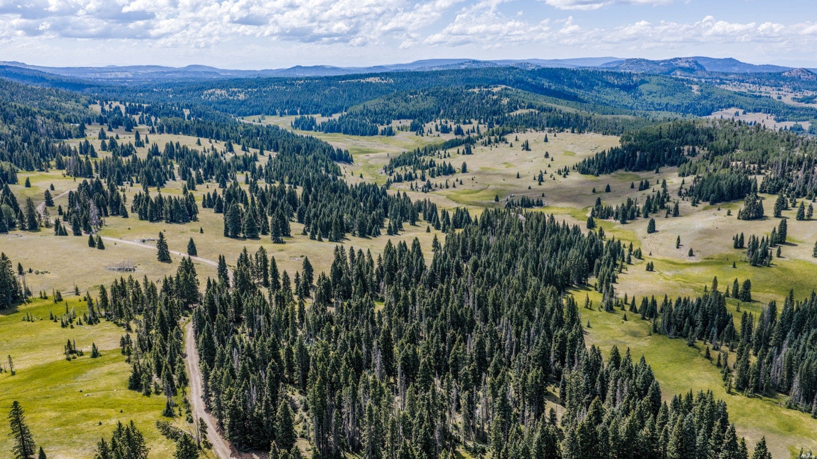 0 Buckman Road Chama, NM 87520 - Photo 1 of 27 Gallery Image 1