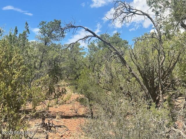 1020 Duffis Bluff Road Seligman, AZ 86337 - Photo 17 of 18 IMG_9668