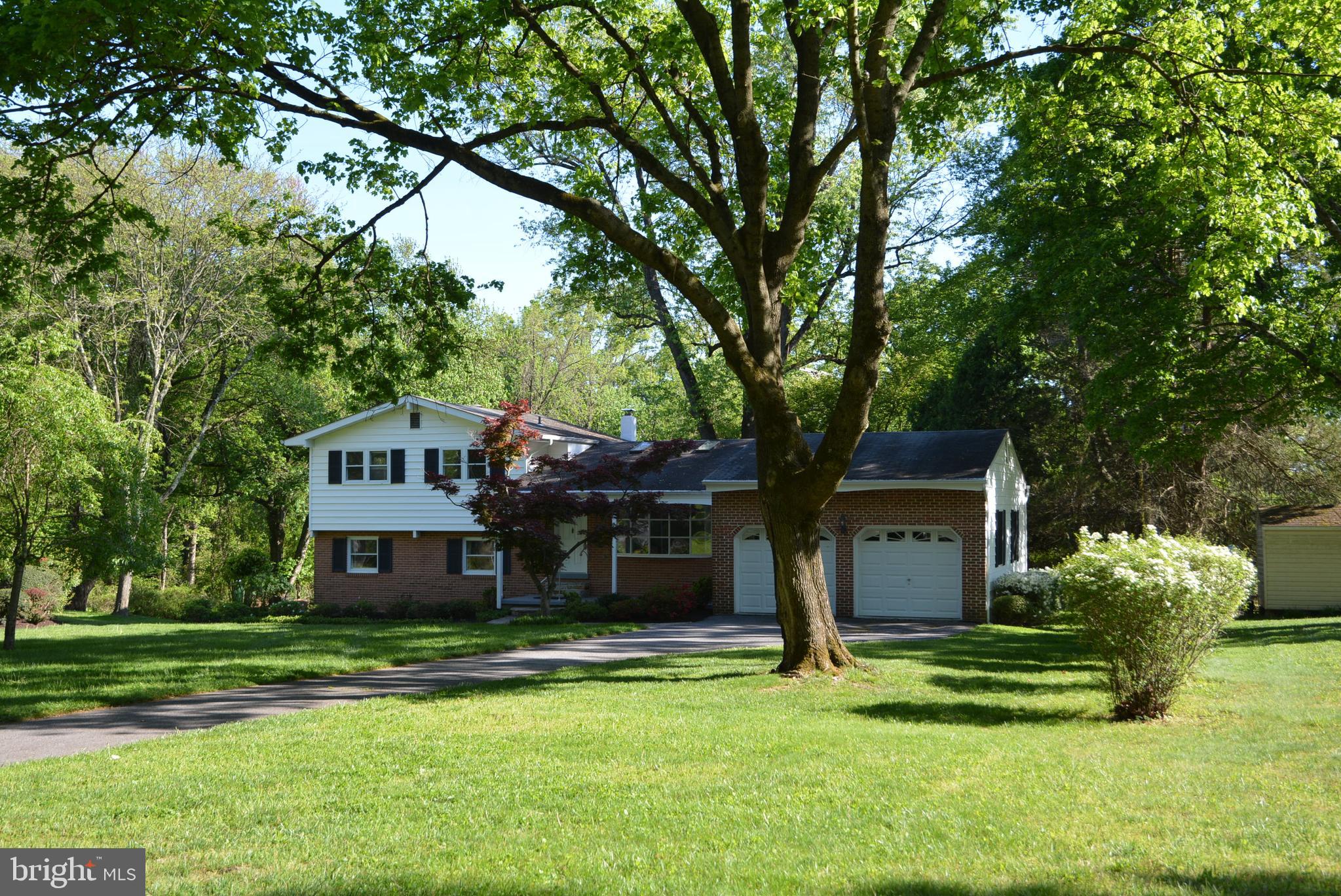 a front view of a house with a yard and a large tree