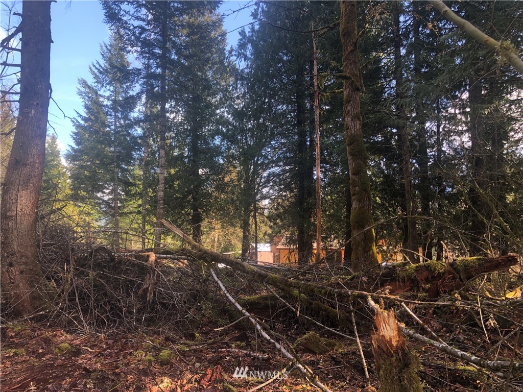2 Cannon Road Packwood, WA 98361 - Photo 5 of 9 Gallery Image 5
