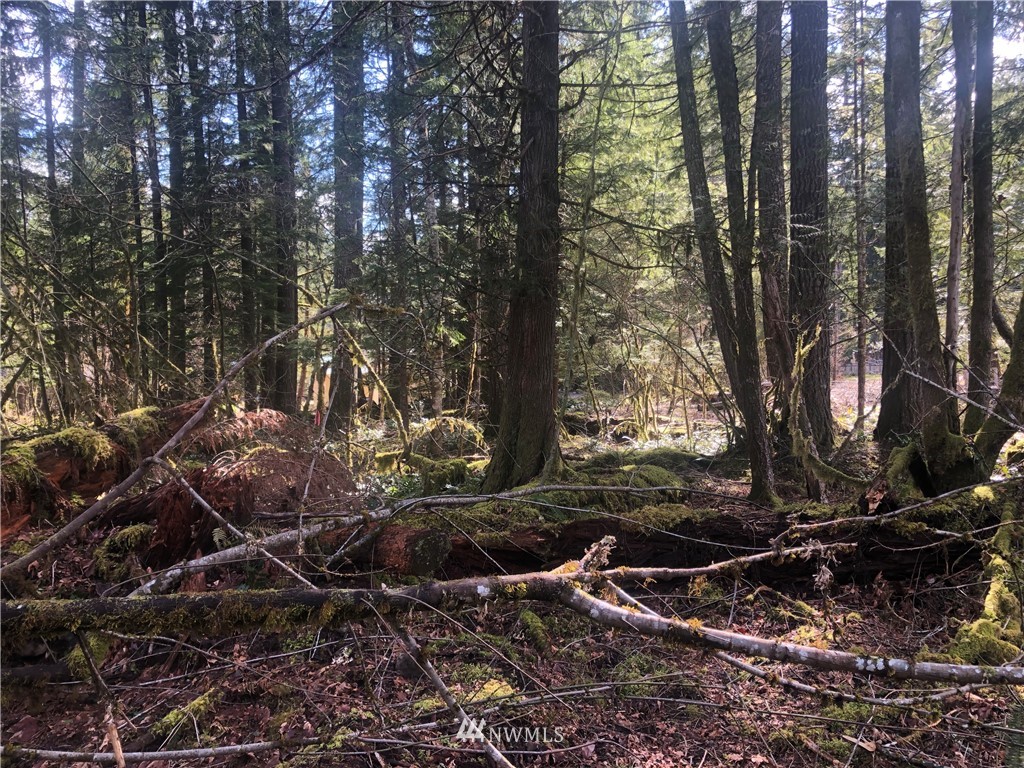 2 Cannon Road Packwood, WA 98361 - Photo 6 of 9 Gallery Image 6