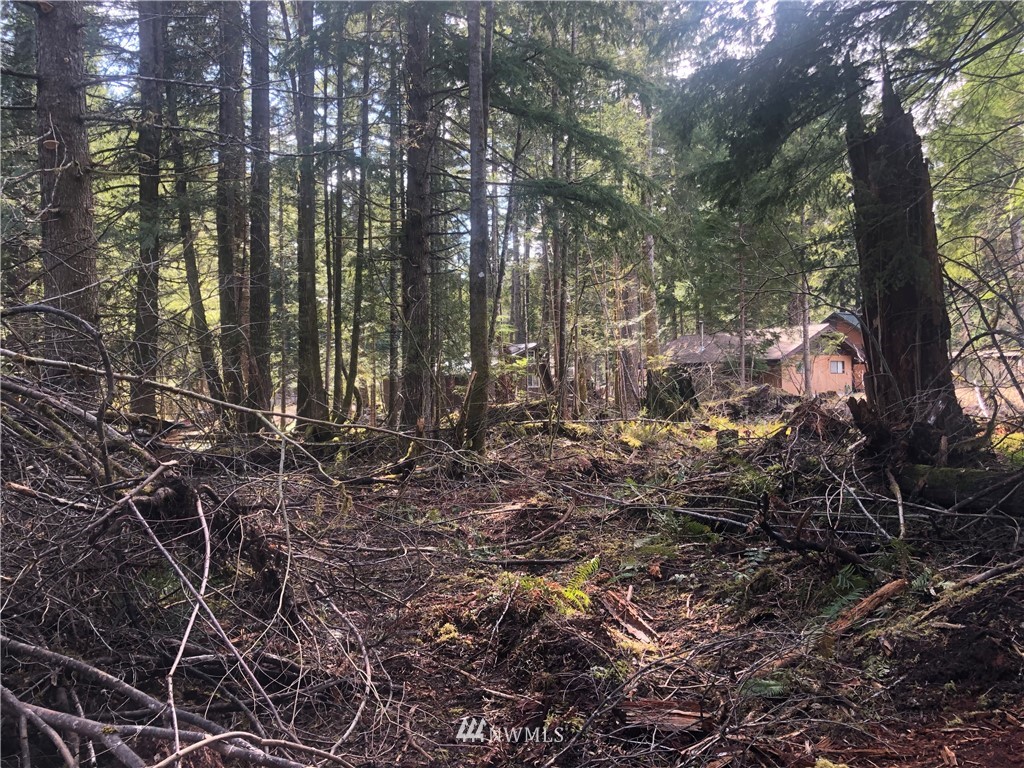 2 Cannon Road Packwood, WA 98361 - Photo 8 of 9 Gallery Image 8