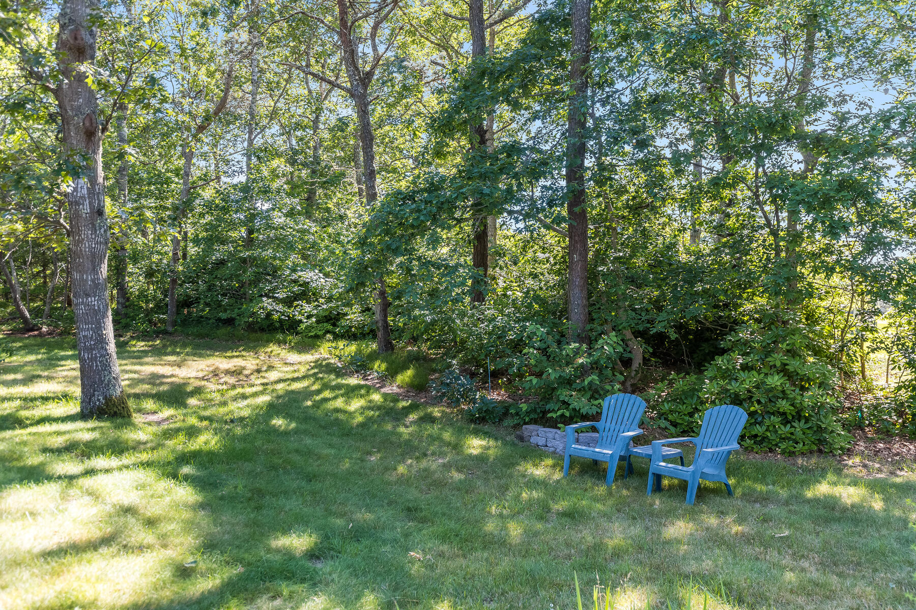 81 Joshua Jethro Road Chatham, MA 02633 - Photo 5 of 40 Rear Yard