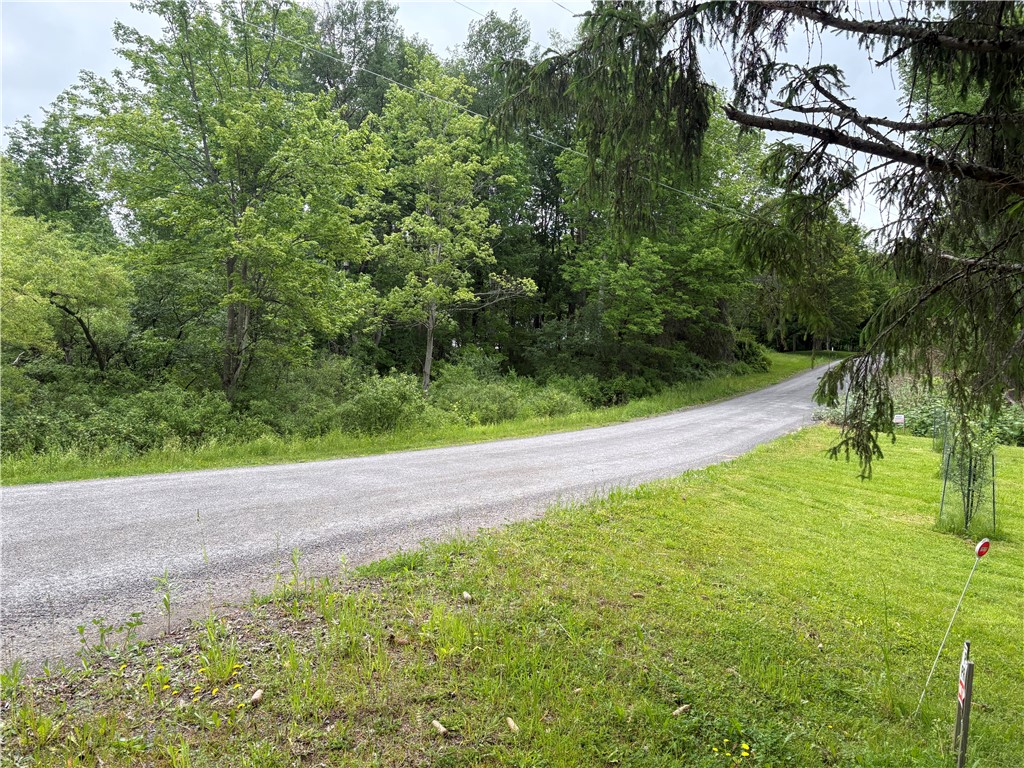 172 Brookins Road North Norwich, NY 13464 - Photo 8 of 29