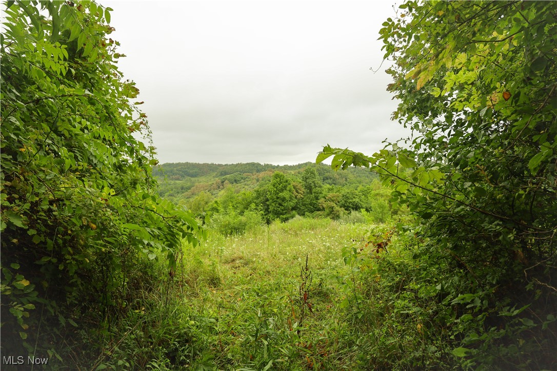 30939 Jacks Run Road Quaker City, OH 43773 - Photo 37 of 48 Gallery Image 37