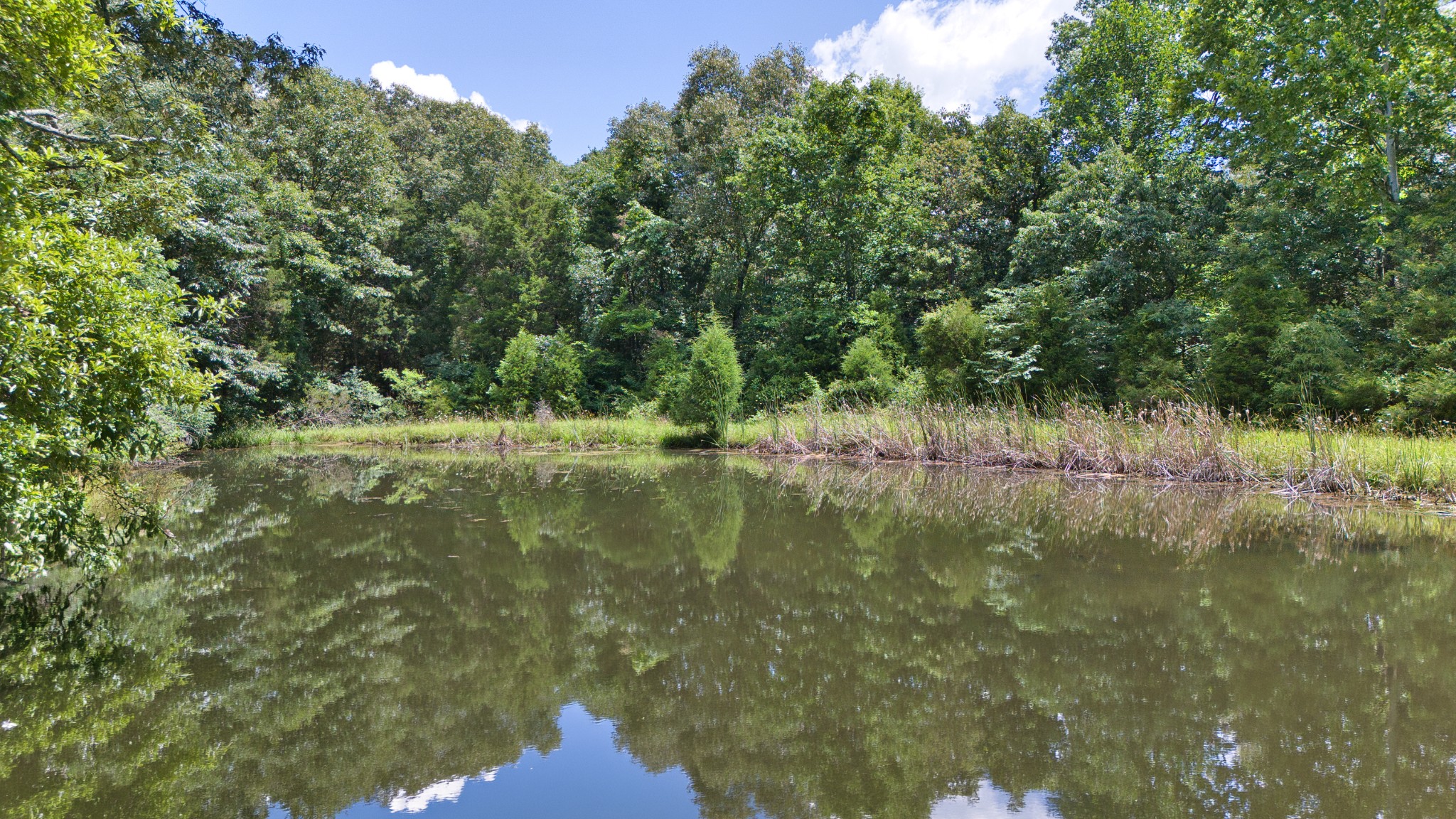 820 Edwards Road Russellville, KY 42276 - Photo 18 of 23 a view of a lake view