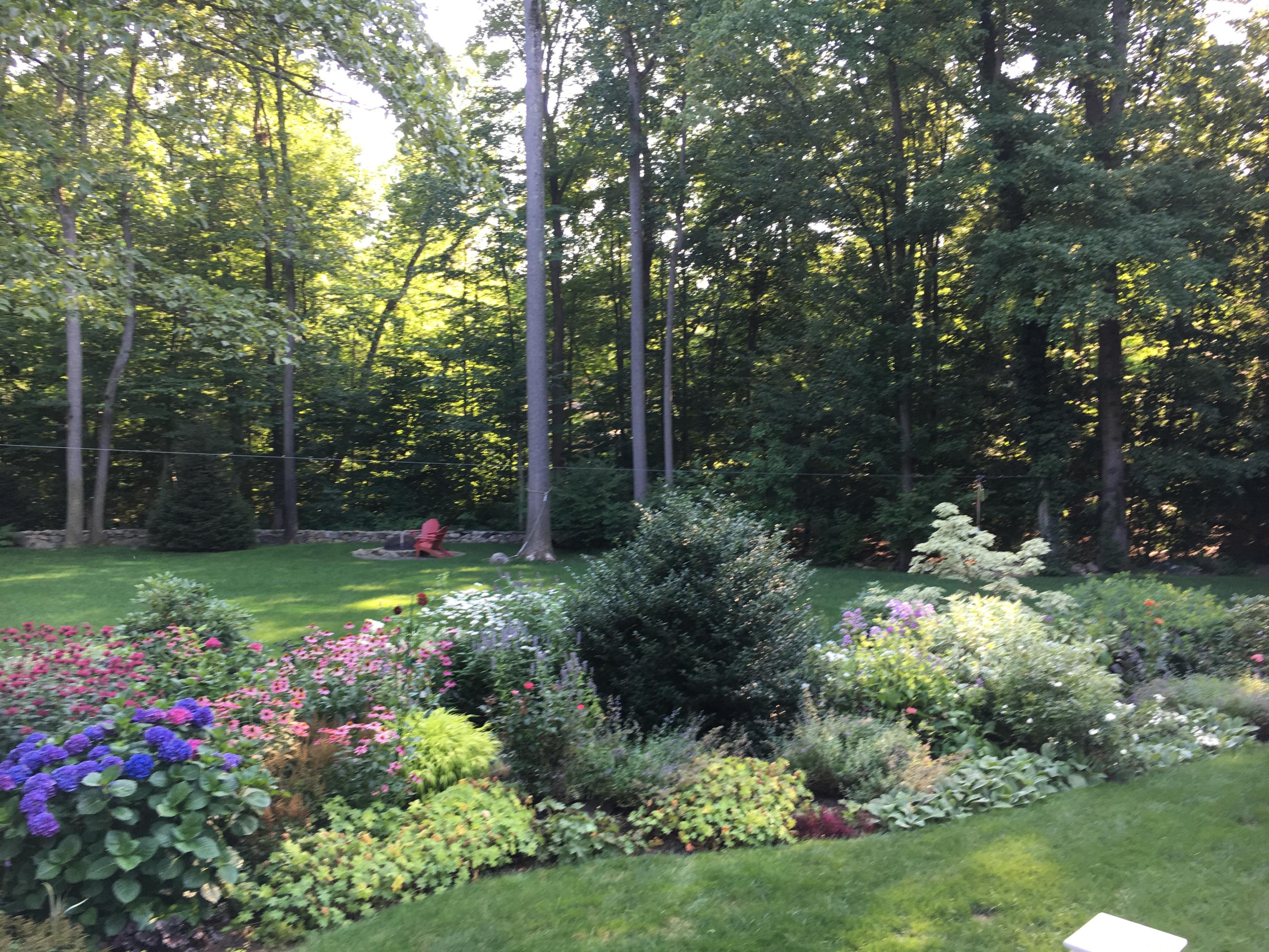 44 Deepwood Road Darien, CT 06820 - Photo 37 of 45 a garden with flowers and trees