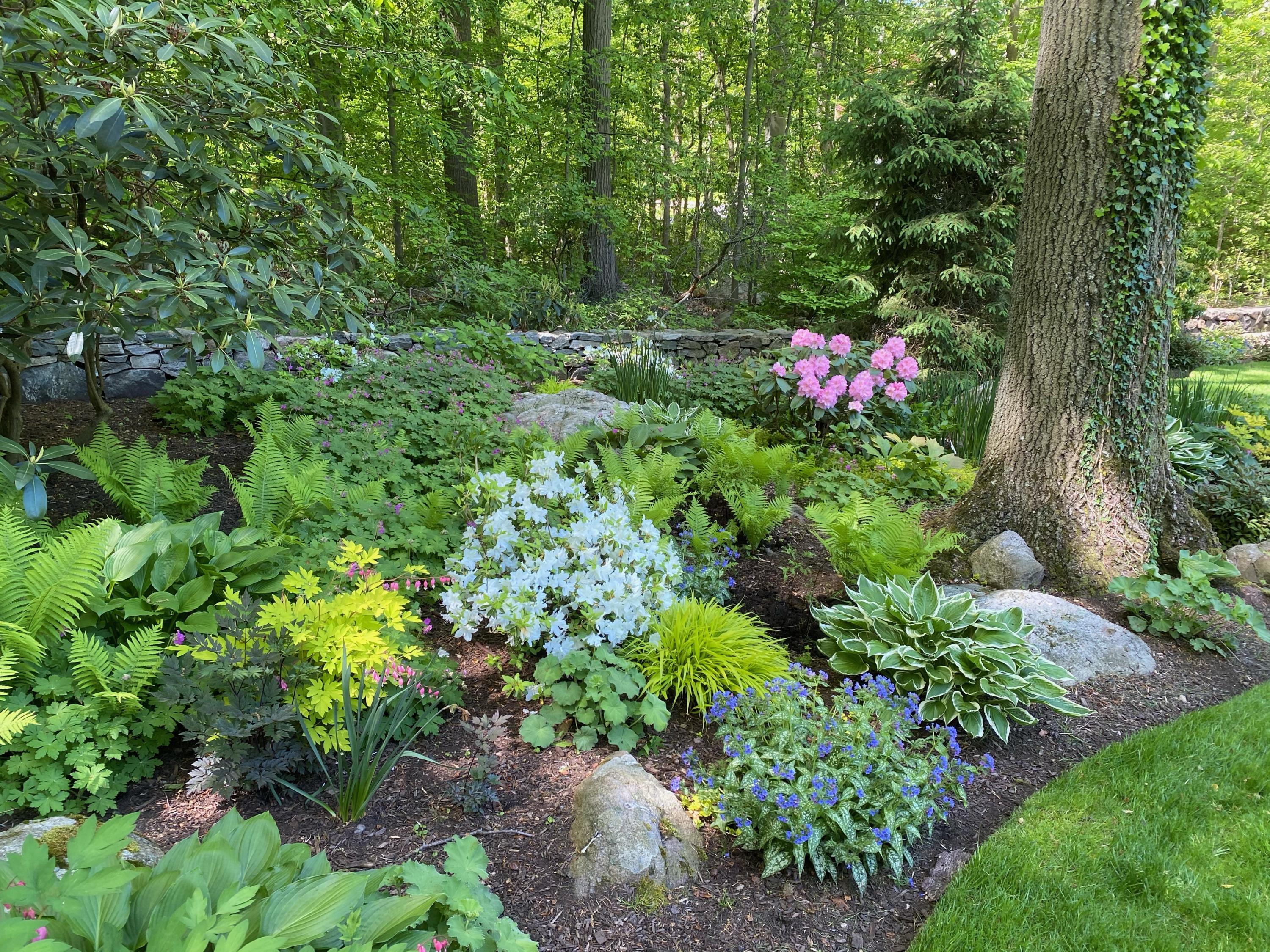 44 Deepwood Road Darien, CT 06820 - Photo 38 of 45 a view of a garden with plants and flowers