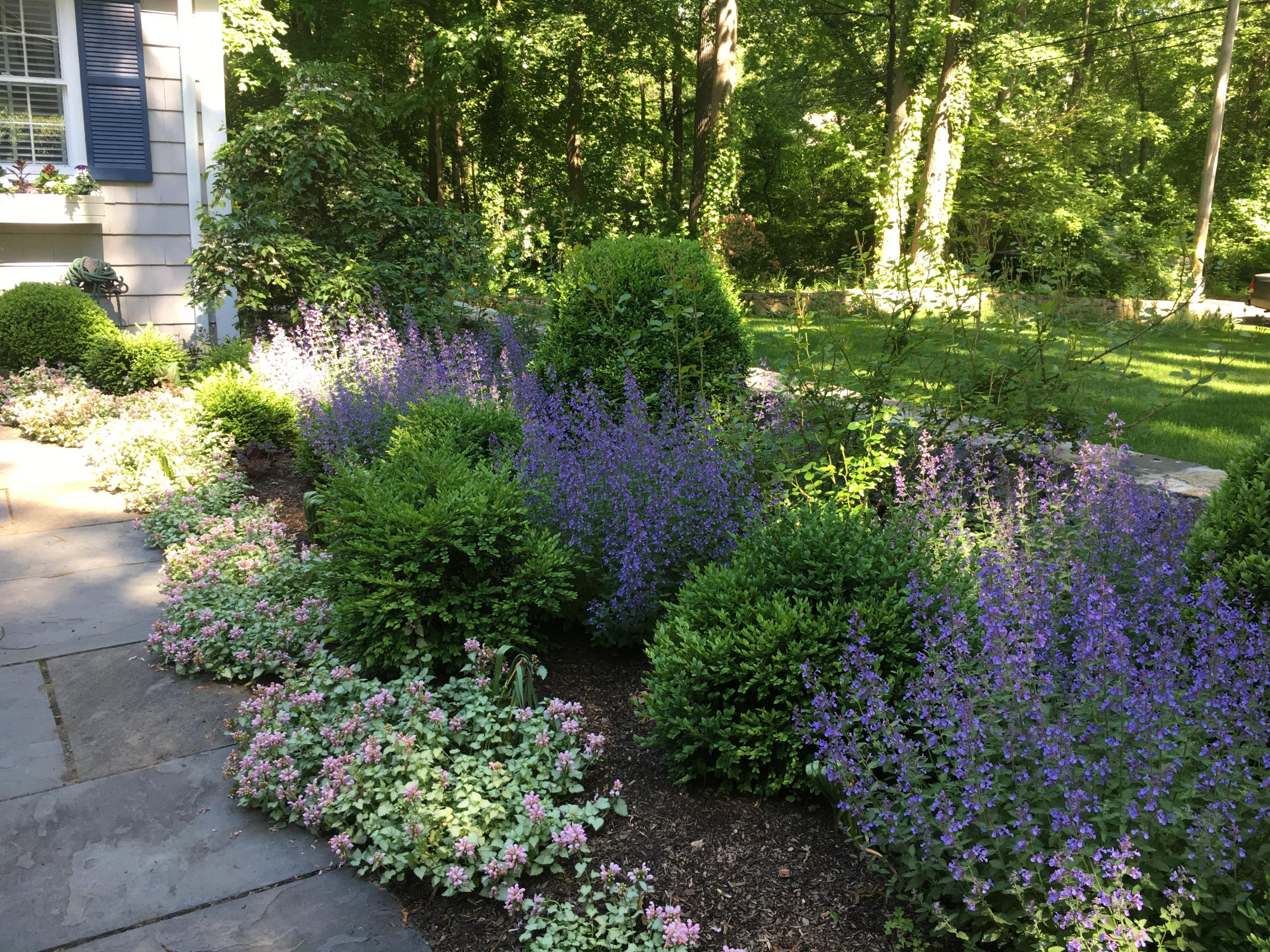 44 Deepwood Road Darien, CT 06820 - Photo 39 of 45 a view of plant in middle of garden