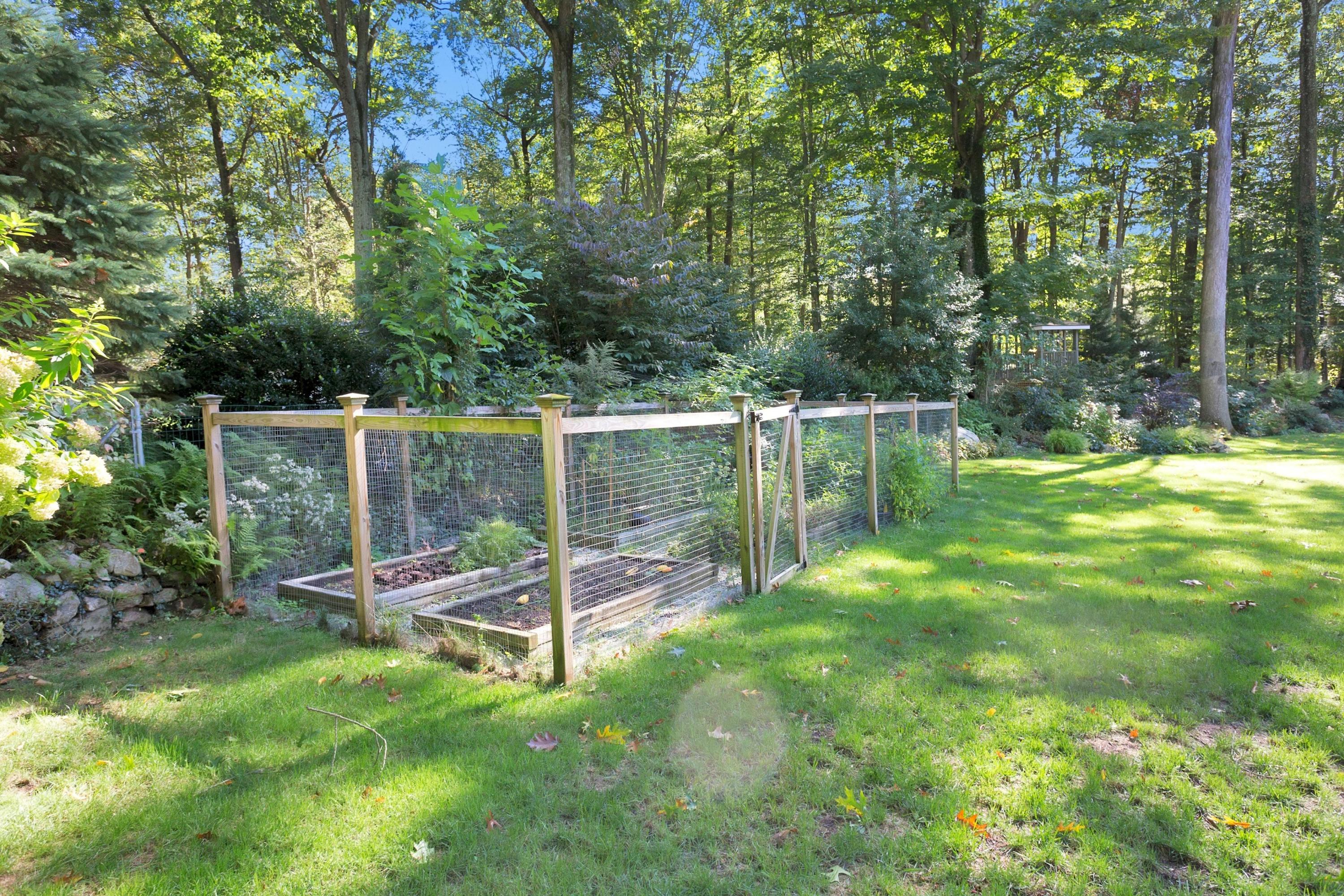 44 Deepwood Road Darien, CT 06820 - Photo 40 of 45 a view of a park with large trees