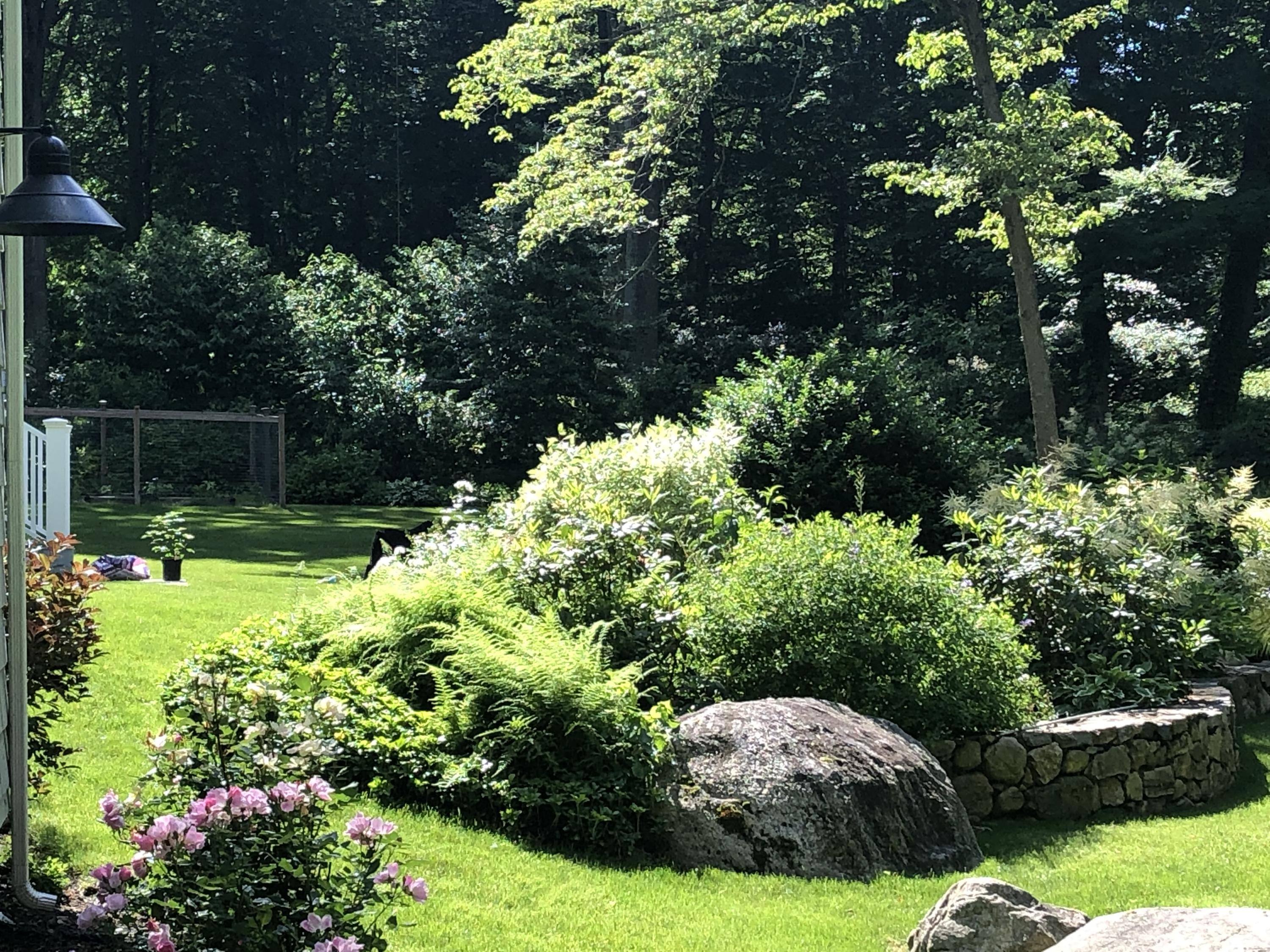 44 Deepwood Road Darien, CT 06820 - Photo 42 of 45 a view of backyard with garden and plants