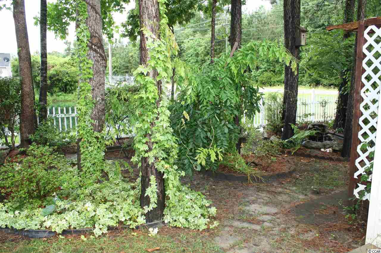 351 Stone Throw Drive Murrells Inlet, SC 29576 - Photo 18 of 22