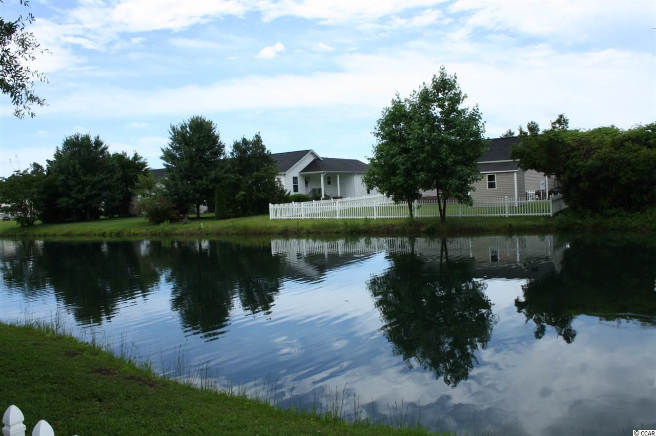 351 Stone Throw Drive Murrells Inlet, SC 29576 - Photo 19 of 22