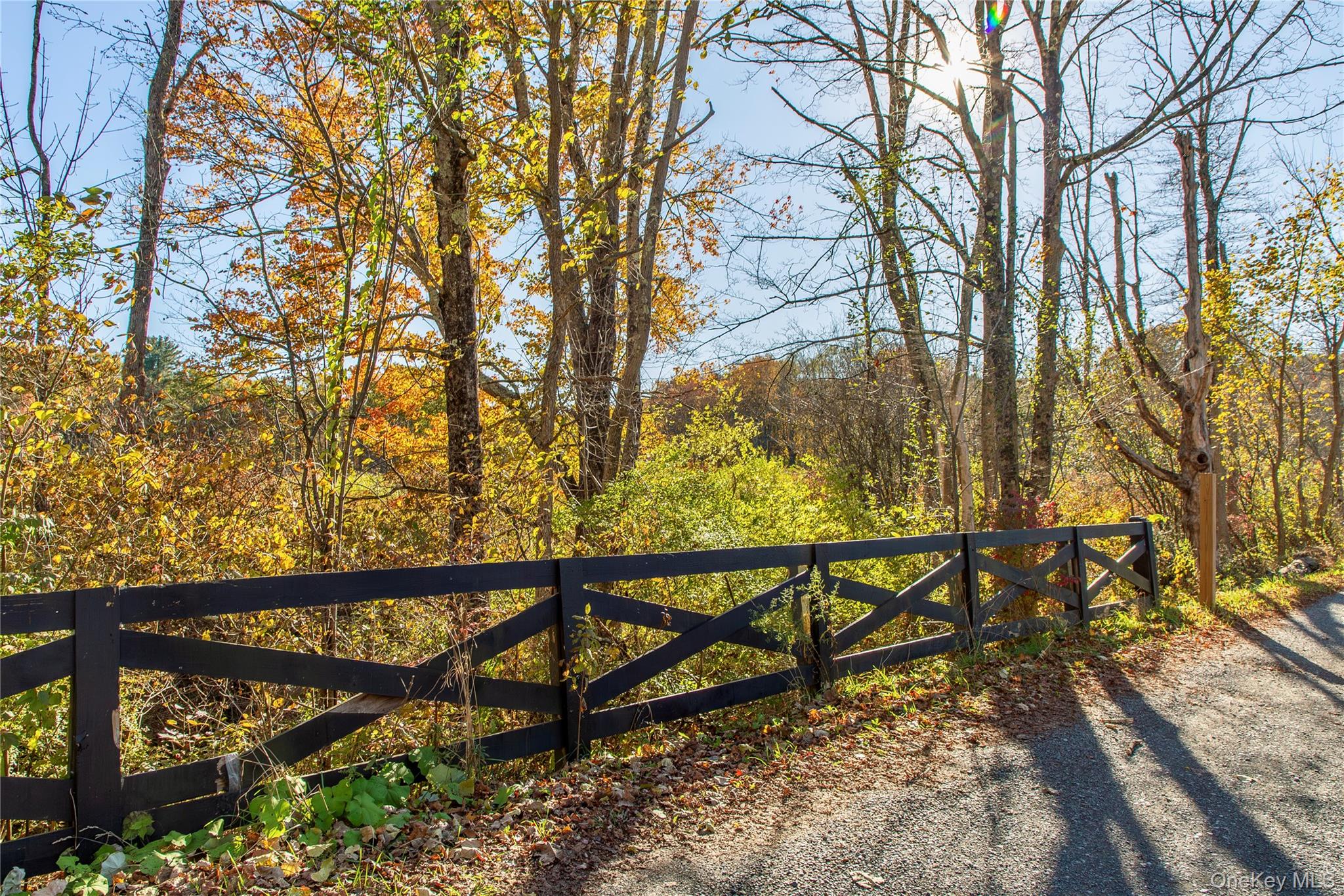 729 Cold Spring Road Stanfordville, NY 12581 - Photo 2 of 47 Gate with a wooded view