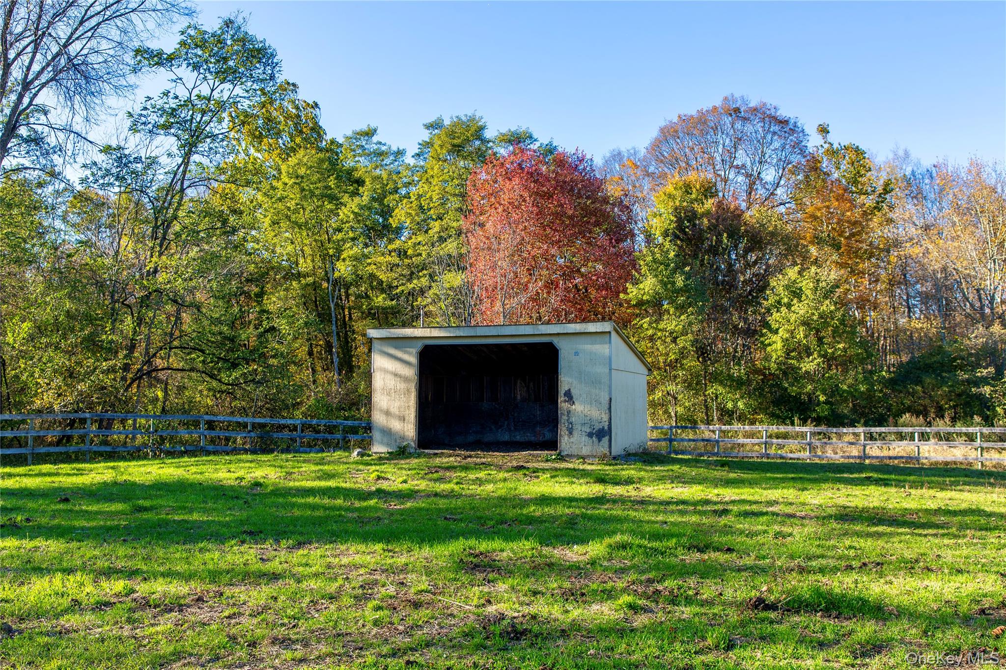 729 Cold Spring Road Stanfordville, NY 12581 - Photo 24 of 47 a view of a house with a backyard
